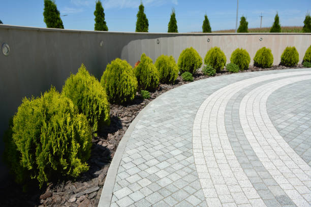 Best Driveway Paving Company  in Mclean, TX